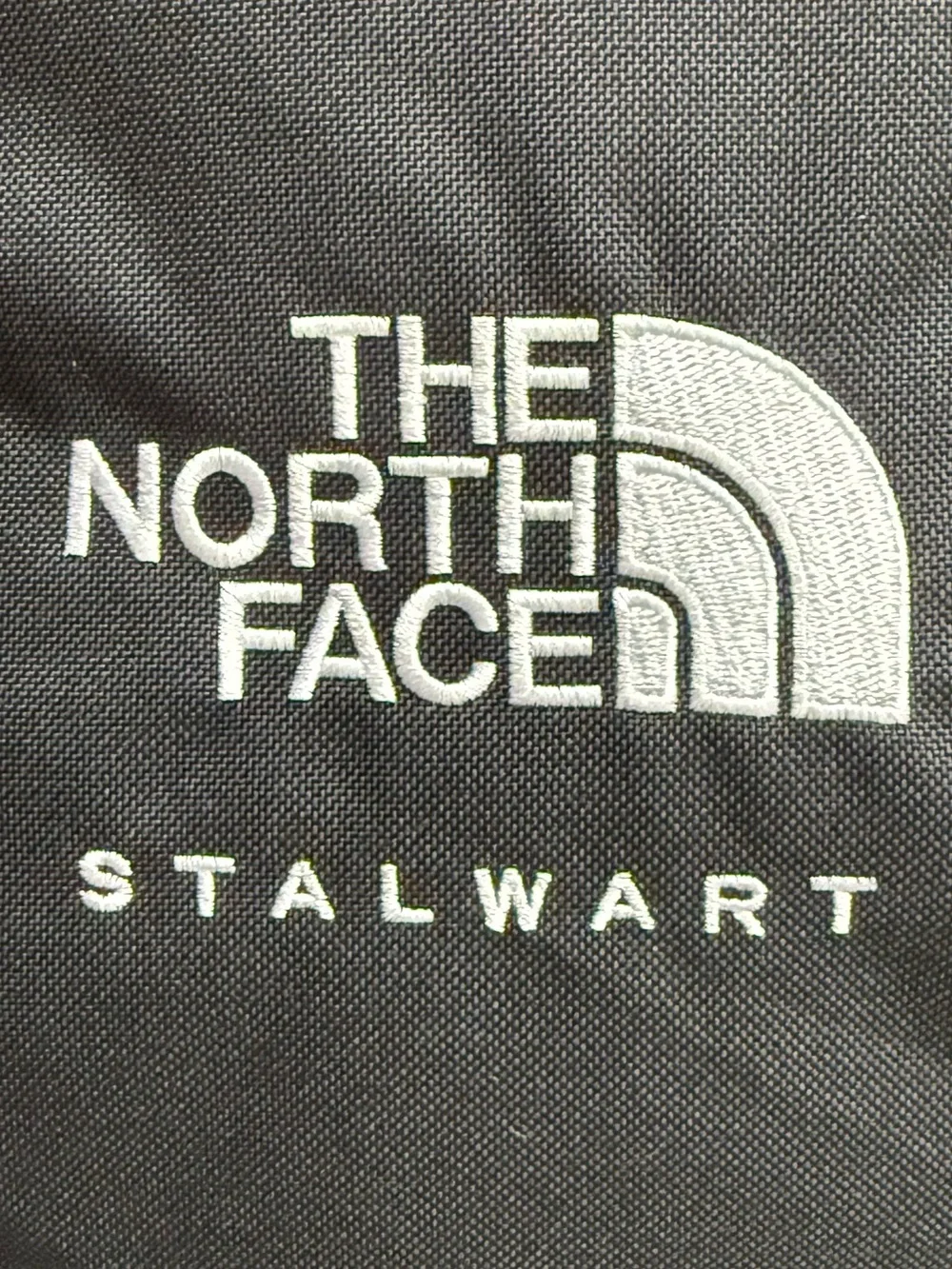 The North Face Stalwart Backpack